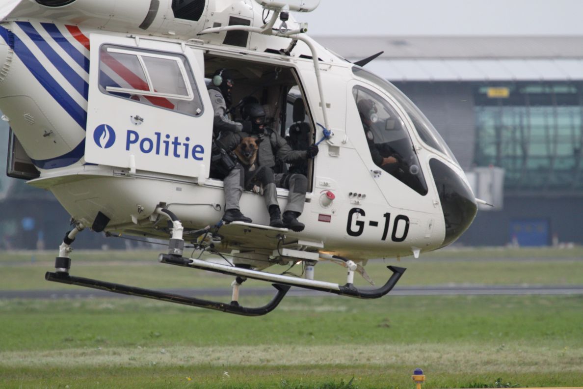 police action with dog